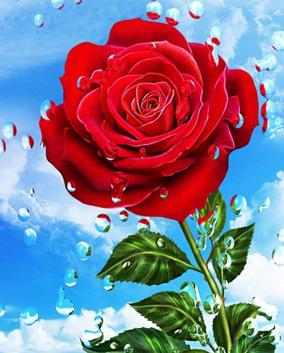 صباح الورد يا احلى ورد
مافي كبير من جده انا بجده اليووم 
ممكن