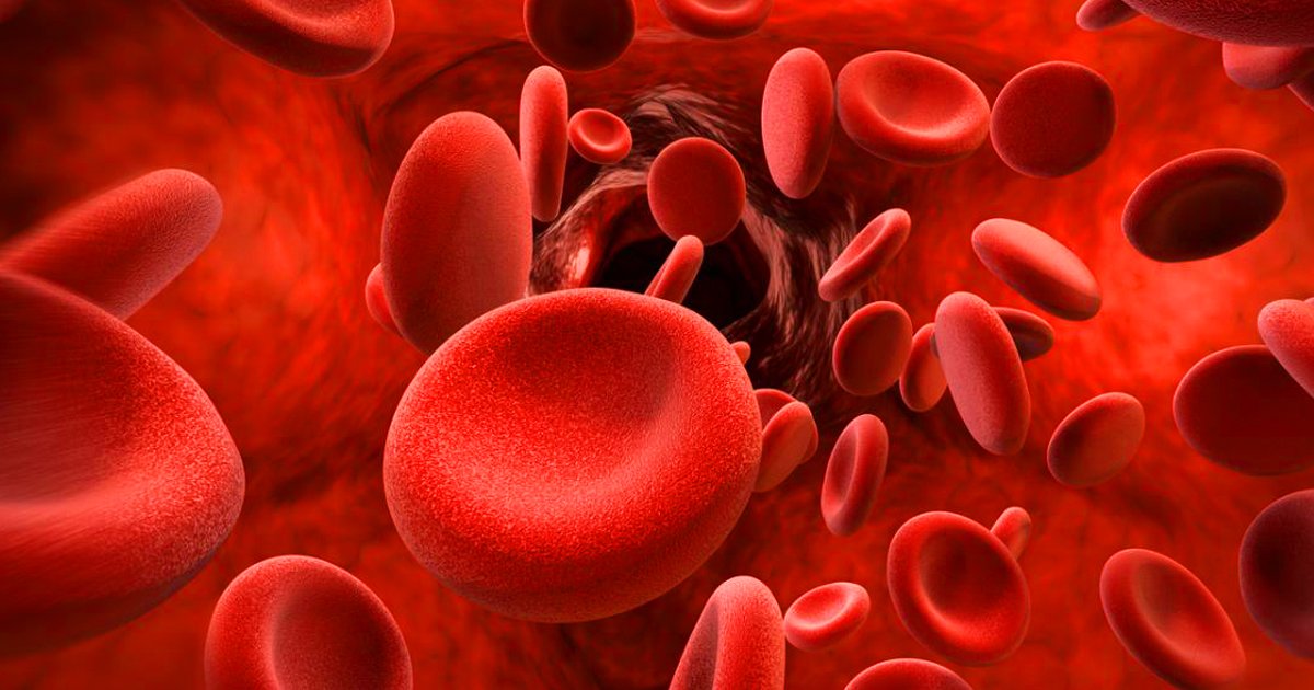 PRAGMATICCONCL1's tweet photo. #Grab the opportunity to become an #Exhibitor or #sponsor.
Increase your presence &amp; maximize your results at our wonderful stage World #Congress on #Hematology and #Oncology Summit #Paris, #France on #November 25 - 26, 2019.
For more info visit : https://t.co/MrMyAoWEDa https://t.co/vC3mIOGCOr