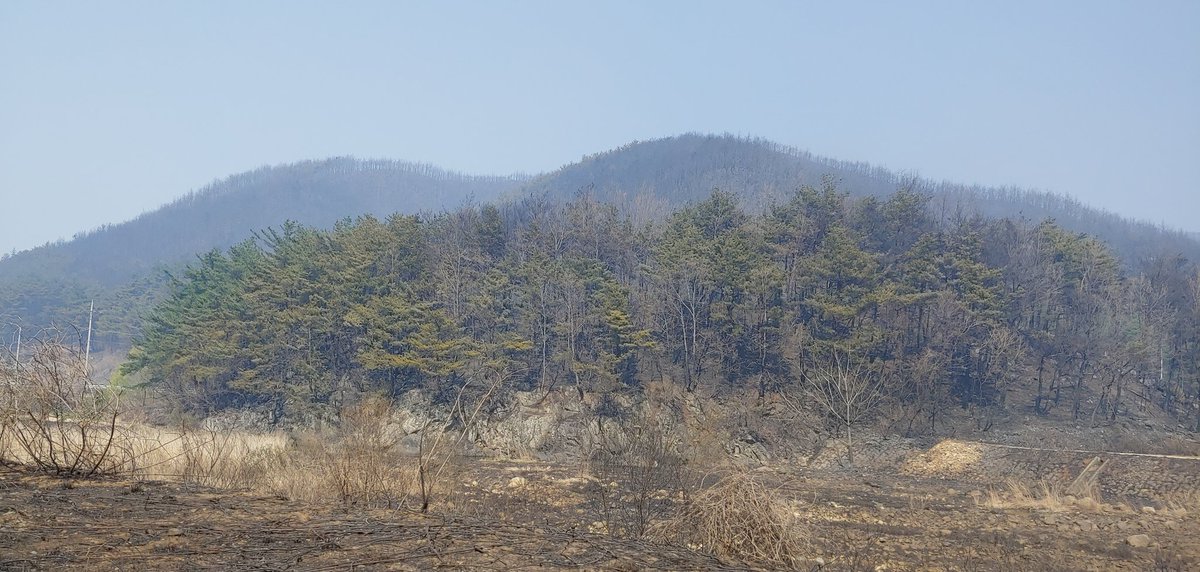 supsansa's tweet image. 강릉 옥계 산불은 잡혀가고 있습니다.