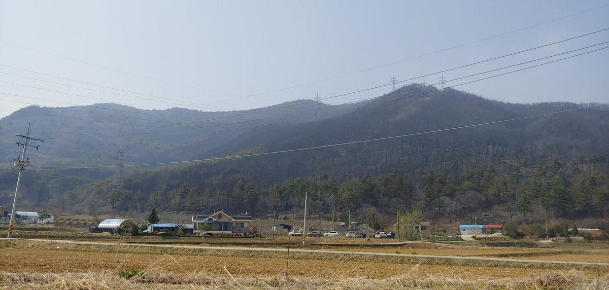 supsansa's tweet image. 옥계 산불은 하천. 밭 모두를 태워 버렸네요