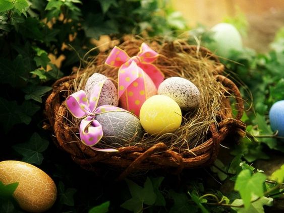 OneYFilms's tweet photo. ππ·ππ₯Only 15 Days Until Easter Sunday π₯ππ·π#HappySpring #ThinkEaster πβ¨ https://t.co/jWAgSE2H3b