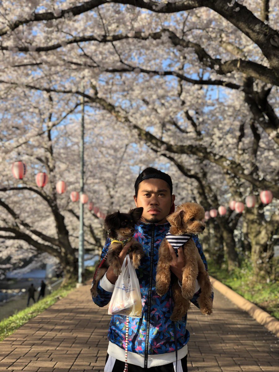 美祢さくら公園 美祢さくら公園