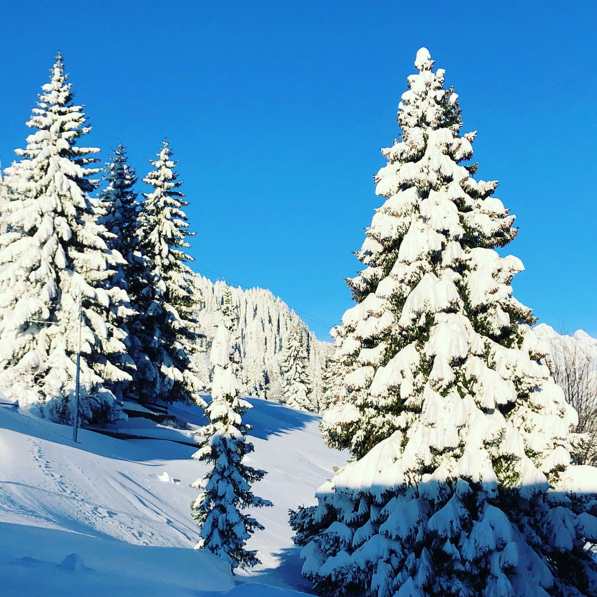 Norman Gobbi Na Twitteru Apri Le Narici Annusa La Neve Lascia Che La Vita Accada Sylvia Plath Buonagiornata Buongiorno Neve Buondi Nevicata Aprile Montagna Leventina Ticino Bianco Blu Biancoblu T Co X5rhvgapcy