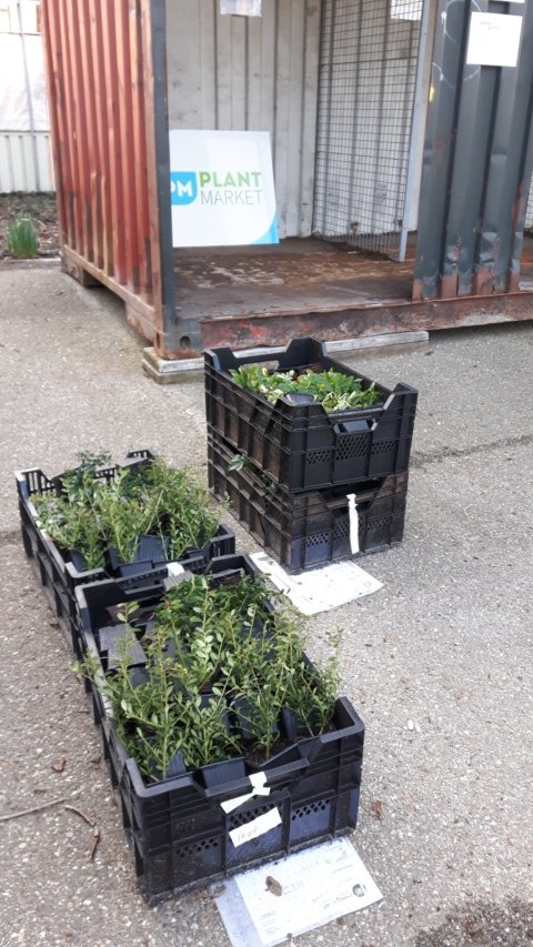 Hub naar de hup. Afgeleverd door Hoogenraad op de Hub Green Flow Boskoop Oost. 👍#samenwerkenaanbeterelogistiek