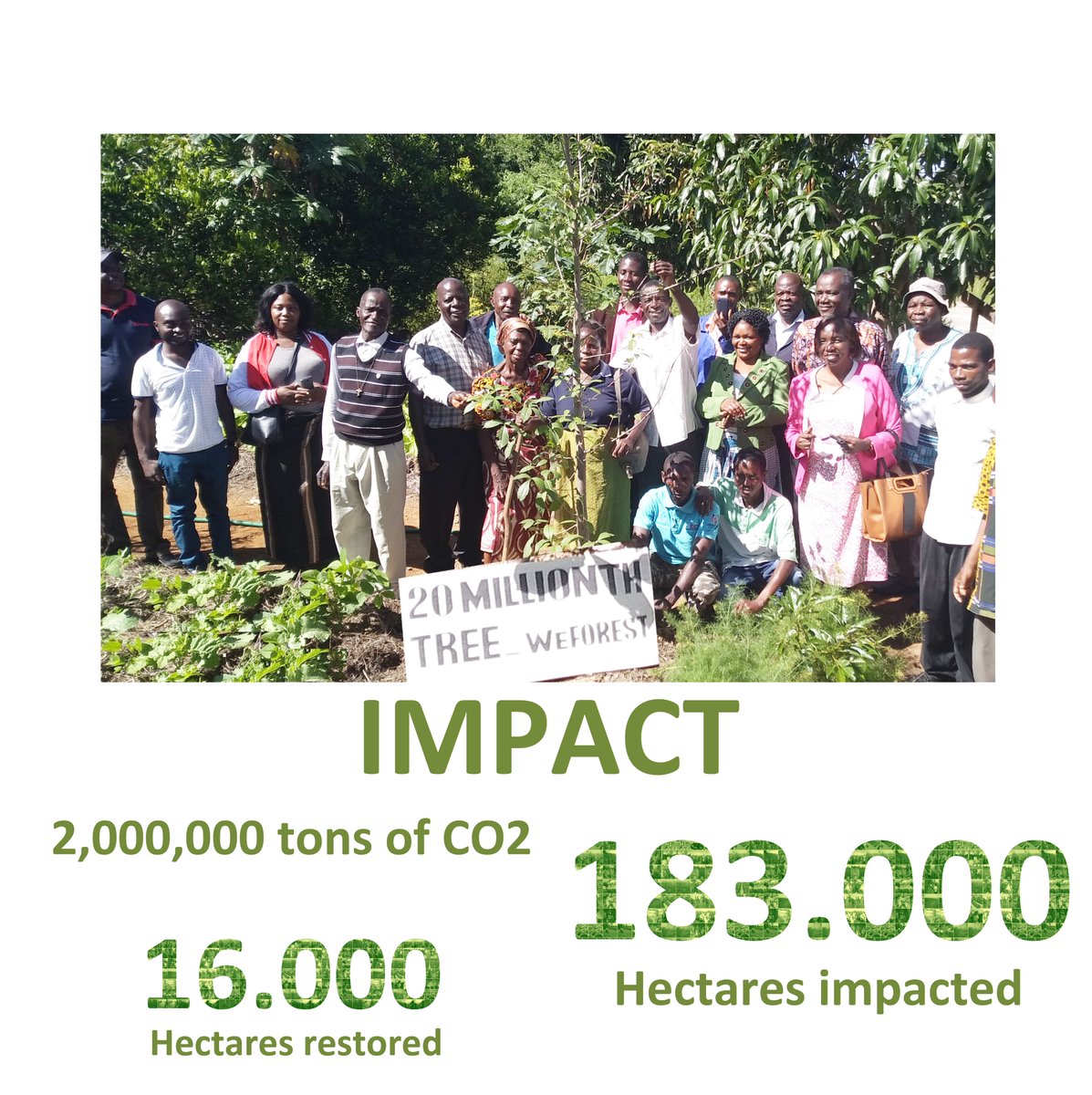 WeForest_org's tweet photo. Together we have planted 20 million trees! yes, 20 MILLION!
We couldn´t thank everyone enough for all the support! And now, up to the 100 million trees to continue to #MakeEarthCooler #BetterWithForests #EarthToo #time4trees https://t.co/6YZSPJlSWu https://t.co/1G6GvQvG6P
