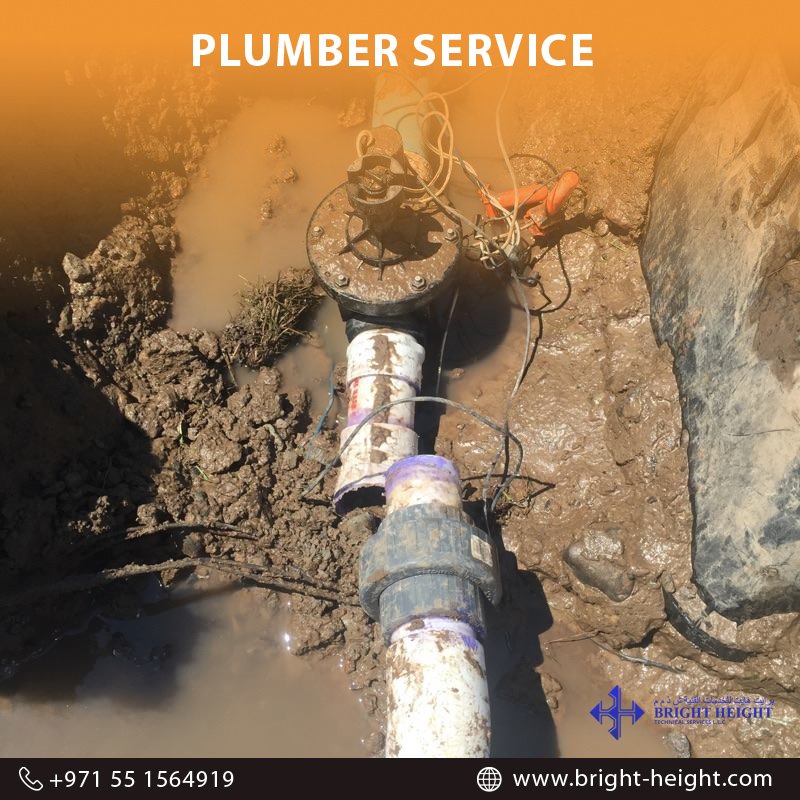 Feel free to call us, we will be very happy to assist you.
#brightheightdubai #brightheight #dubai
Phone: +971 55 1564919 
Email Id: info@bright-height.com
website: bright-height.com/contact.php