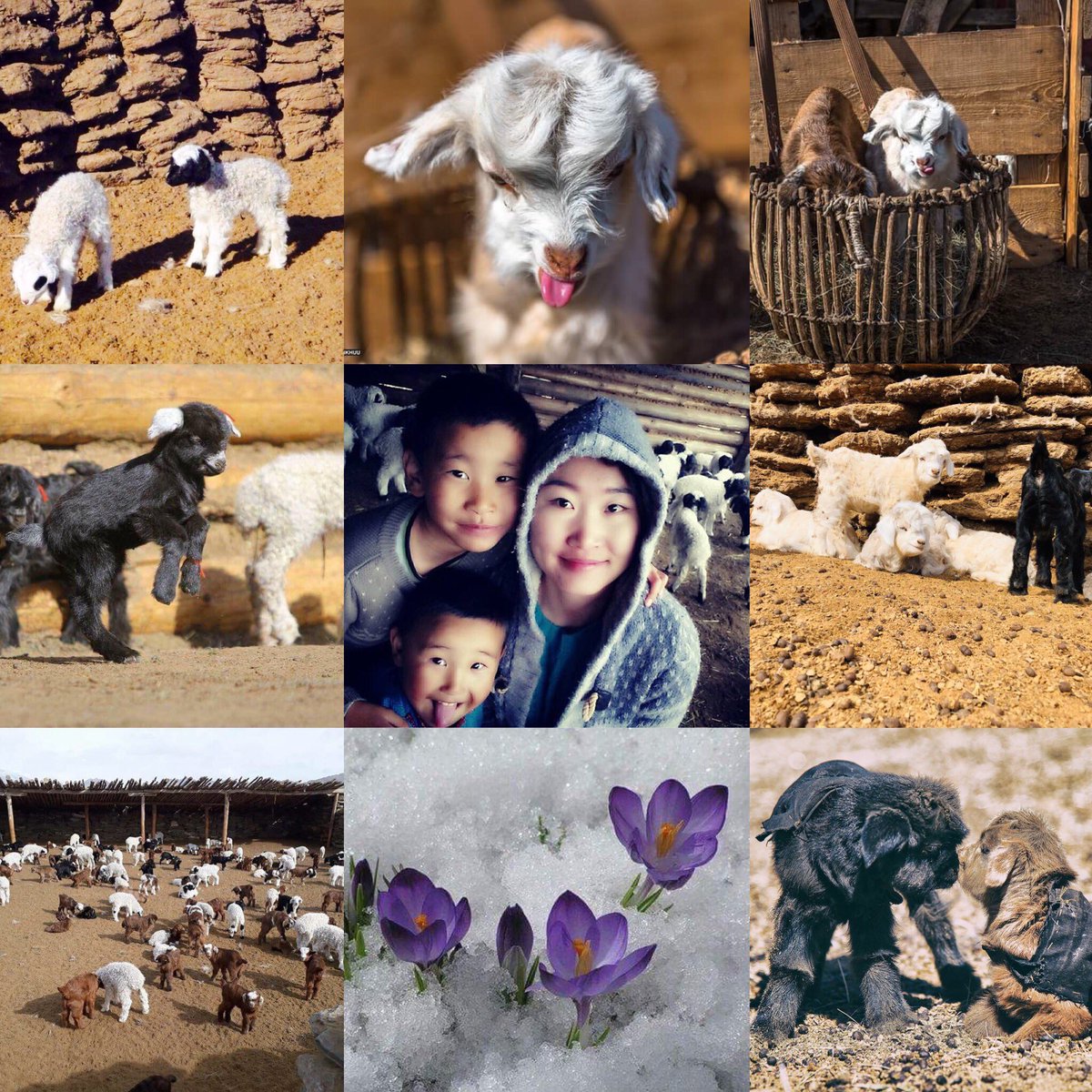 Малчины хот