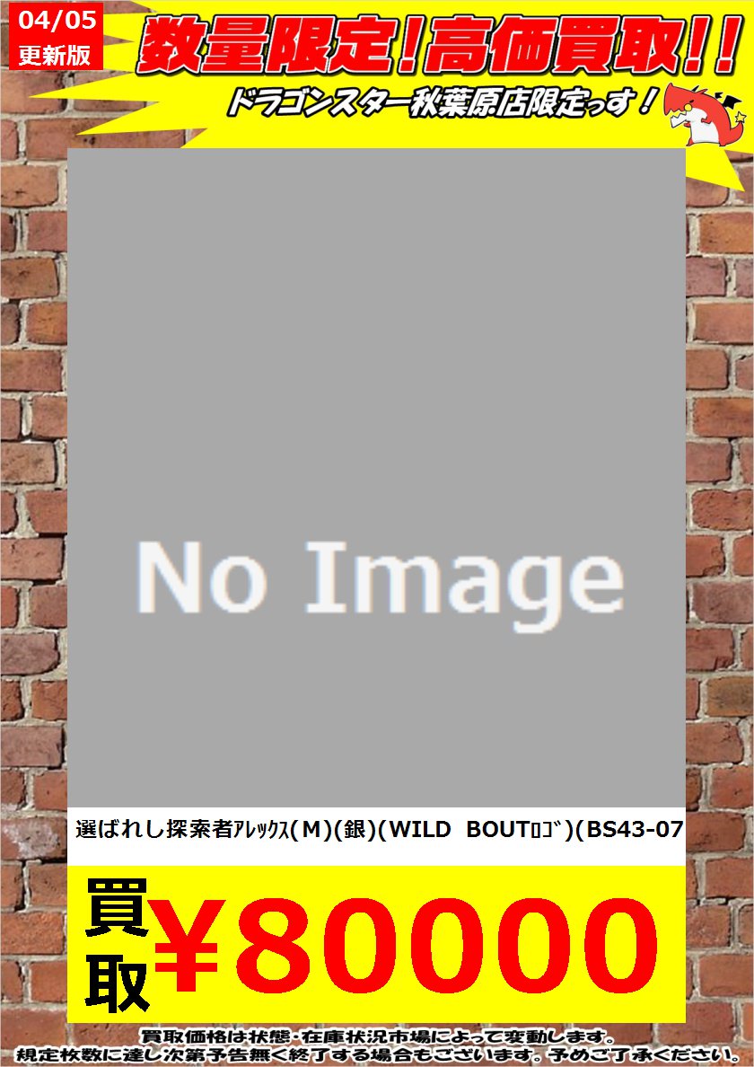 選ばれし探索者アレックス銅WILD BOUT