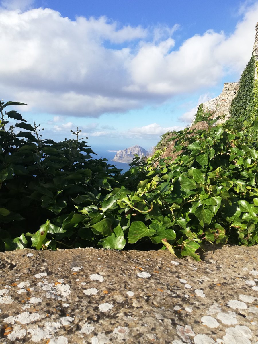 KleosC's tweet photo. ...che il weekend abbia inizio!
#welcomeWeekend #erice #trapani #museoCordici #castellodiVenere #quartierespagnolo #torrPepoli #ericeMiniatura #laSalerniana https://t.co/xx5k1eEAHd