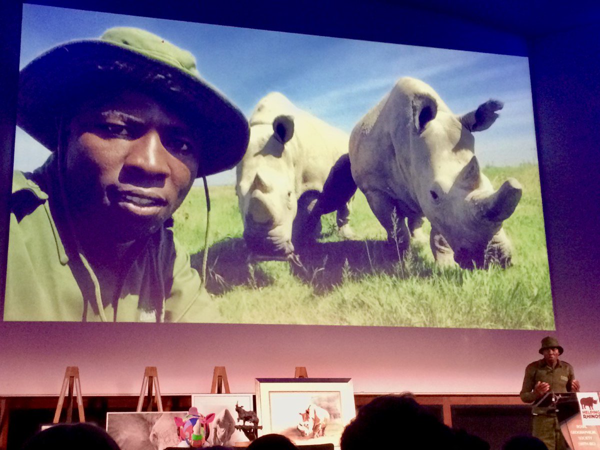 Dr Will Fowlds (@drwillfowlds) on Twitter photo 'We must look beyond the sadness of the Northern White Rhinos & use them as inspiration' - James Mwenda Congratulations to <a href="/HelpingRhinos/">Helping Rhinos 🦏</a> & James on a hugely successful evening. Some great motivating words to cap off a great rhino week & keep us going on the #RhinosRoadToRecovery 'We must look beyond the sadness of the Northern White Rhinos & use them as inspiration' - James Mwenda Congratulations to <a href="/HelpingRhinos/">Helping Rhinos 🦏</a> & James on a hugely successful evening. Some great motivating words to cap off a great rhino week & keep us going on the #RhinosRoadToRecovery