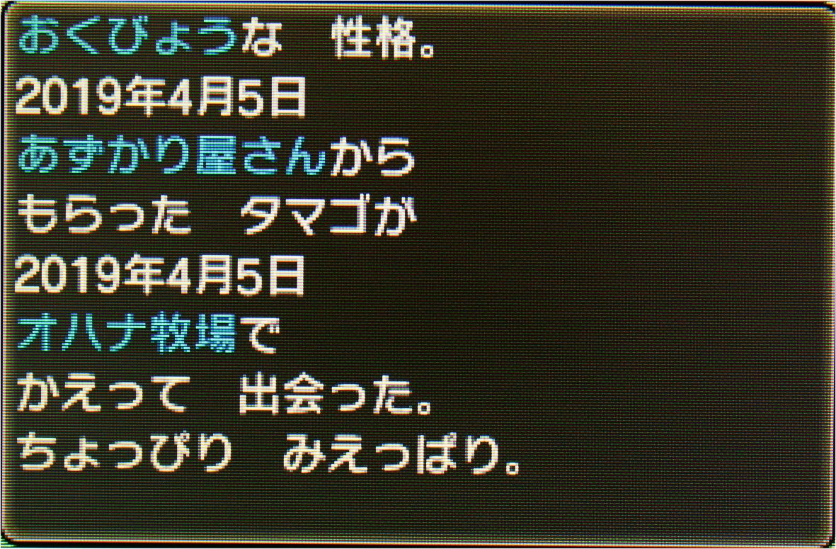 自己産 色違いポケモン ೨ Twitter