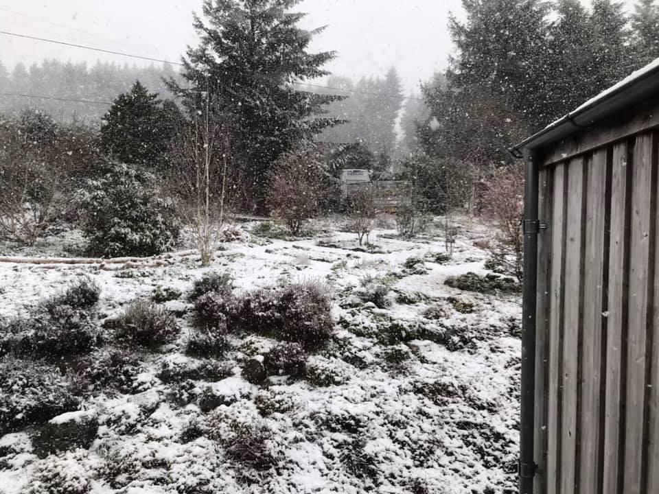 April showers this year seems to be snow! Doesn't stop us from carrying on. The boys did well on this difficult access job Near Oswestry this week