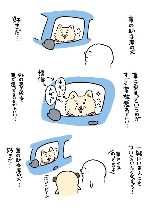 車の助手席の犬 