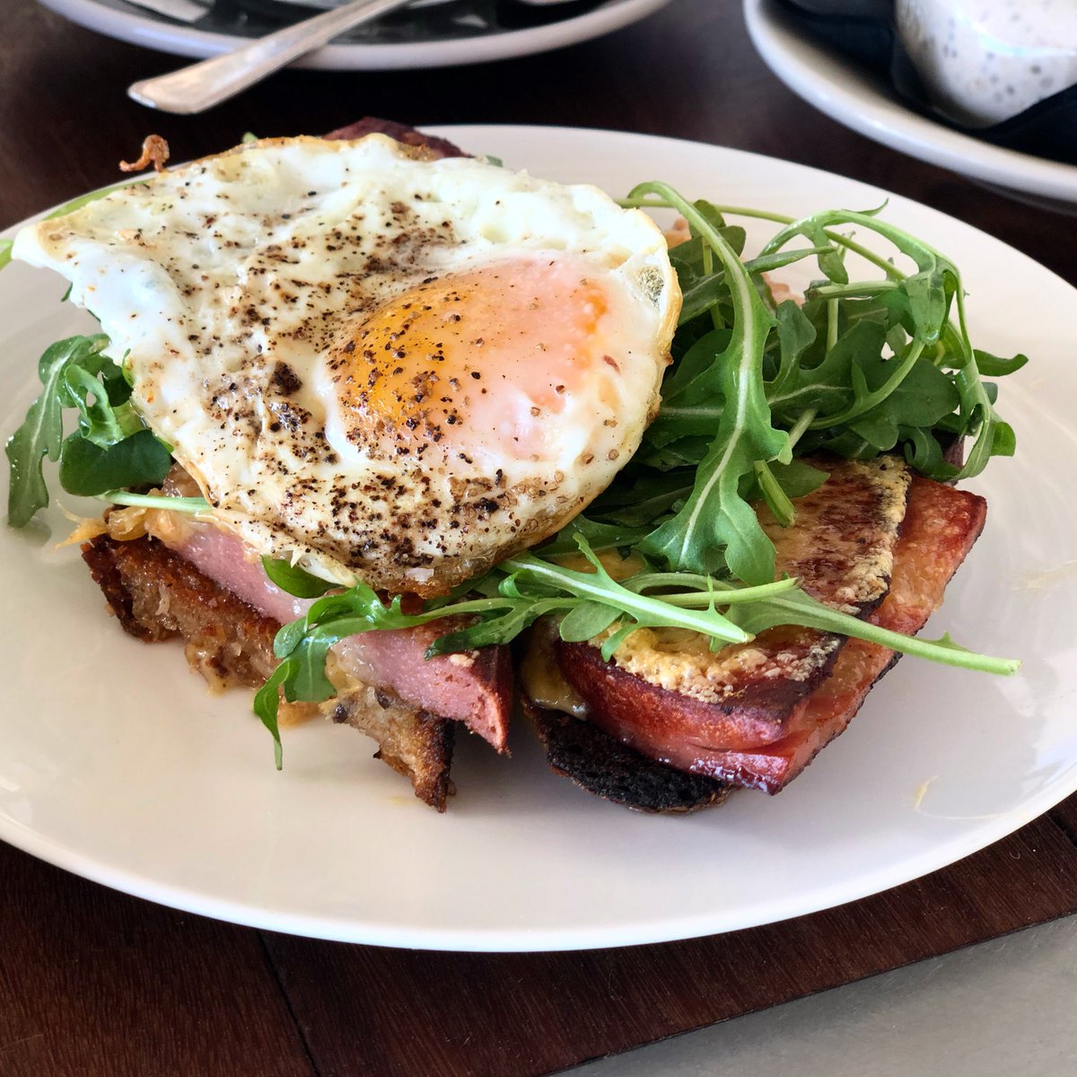 Hummingbird Raleigh tweet media