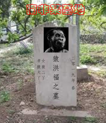 Po9Ma8aYdJS76AV's tweet photo. @Malex49633148 丝袜鸡烂某农村附近有个墓地……✌️✌️✌️✌️👍💪😄 https://t.co/oo1jgQ2zCu