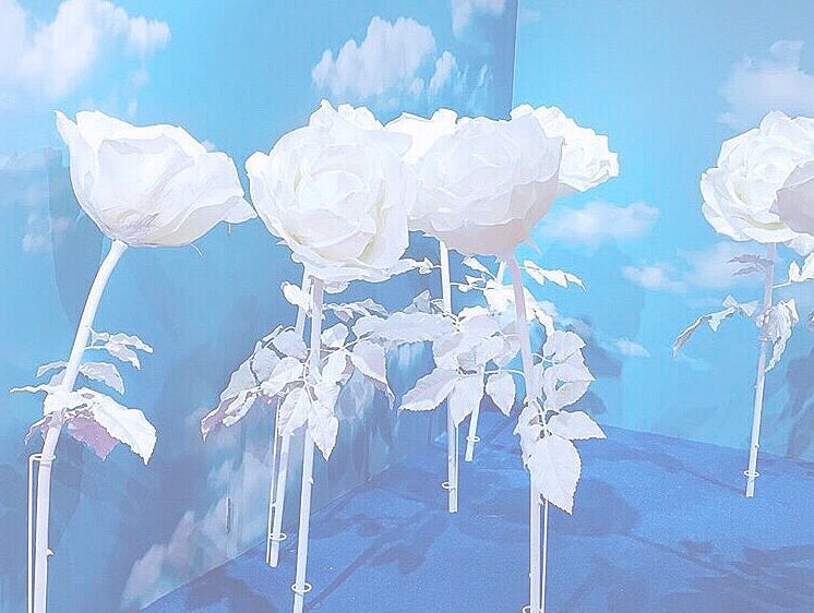 h_n_study's tweet image. ㅤ
 ㅤ
4月になったので!

🖇tag

（ ❕ ）｜fjk
（ ☁️ ）｜音楽系専門学校志望
（ 💎 ）｜社会・音楽 ◎
（ 📘 ）｜進研ゼミ

#勉強垢 #勉強垢さんと繋がりたい #勉強垢さんと一緒に頑張りたい #勉強垢さんでRTした人全員フォロー  #勉強垢さんでいいねした人全員フォロー #フォロバ100 
ㅤ
 ㅤ