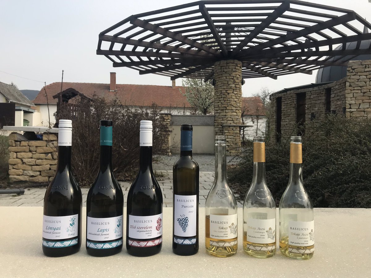 I tasted more than 40 dry and sweet wines from the Tokaj wine region in Hungary over the last two days - let no-one accuse me of skimping on my research! #toughlife #FridayFeeling #winetours #winetasting #Tokaj #Hungarianwine #wine #winetime <a href="/Smooth_Red/">SmoothRed</a>