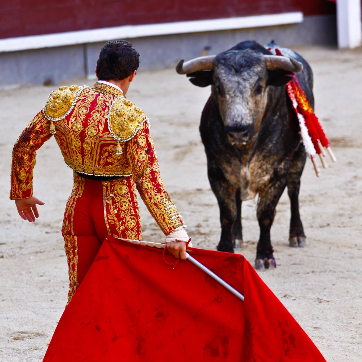 公式 旅らびcom 世界の絶景まとめ على تويتر 闘牛士の衣装 の詳細情報 国 スペイン 民族衣装の詳細 スペインの男性 闘牛士の衣装で チャレーコ というベスト シャキーラ という上着がある 鮮やかな色合いとぴったりとしたズボンが特徴 トレロと