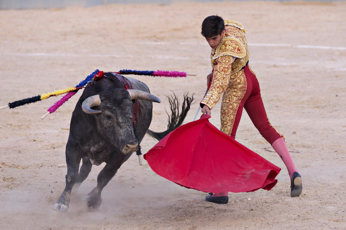 公式 旅らびcom 世界の絶景まとめ على تويتر 闘牛士の衣装 の詳細情報 国 スペイン 民族衣装の詳細 スペインの男性闘牛士の衣装で チャレーコ というベスト シャキーラ という上着がある 鮮やかな色合いとぴったりとしたズボンが特徴 トレロと