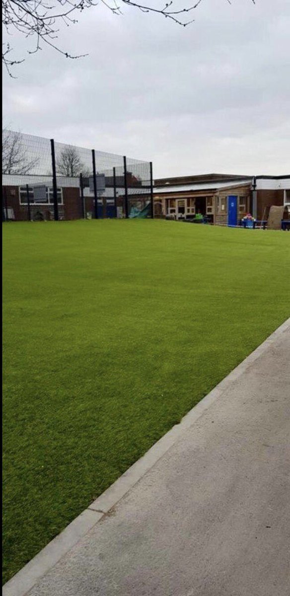 Who needs Artificial grass. From this to this.....