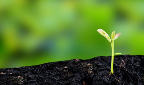 science_ku's tweet photo. Verdens biodiversitet, kvantemekanik, og hemmeligheder gemt i planters celler. Det skal de i alt 150 millioner kroner der er blevet tildelt fire professorer på Københavns Universitet bl.a. gå til at forske i. #dkforsk #scienceku #dkvid @VILLUMFONDEN
https://t.co/iPkBgMUGdQ https://t.co/U3uYSmxwnM
