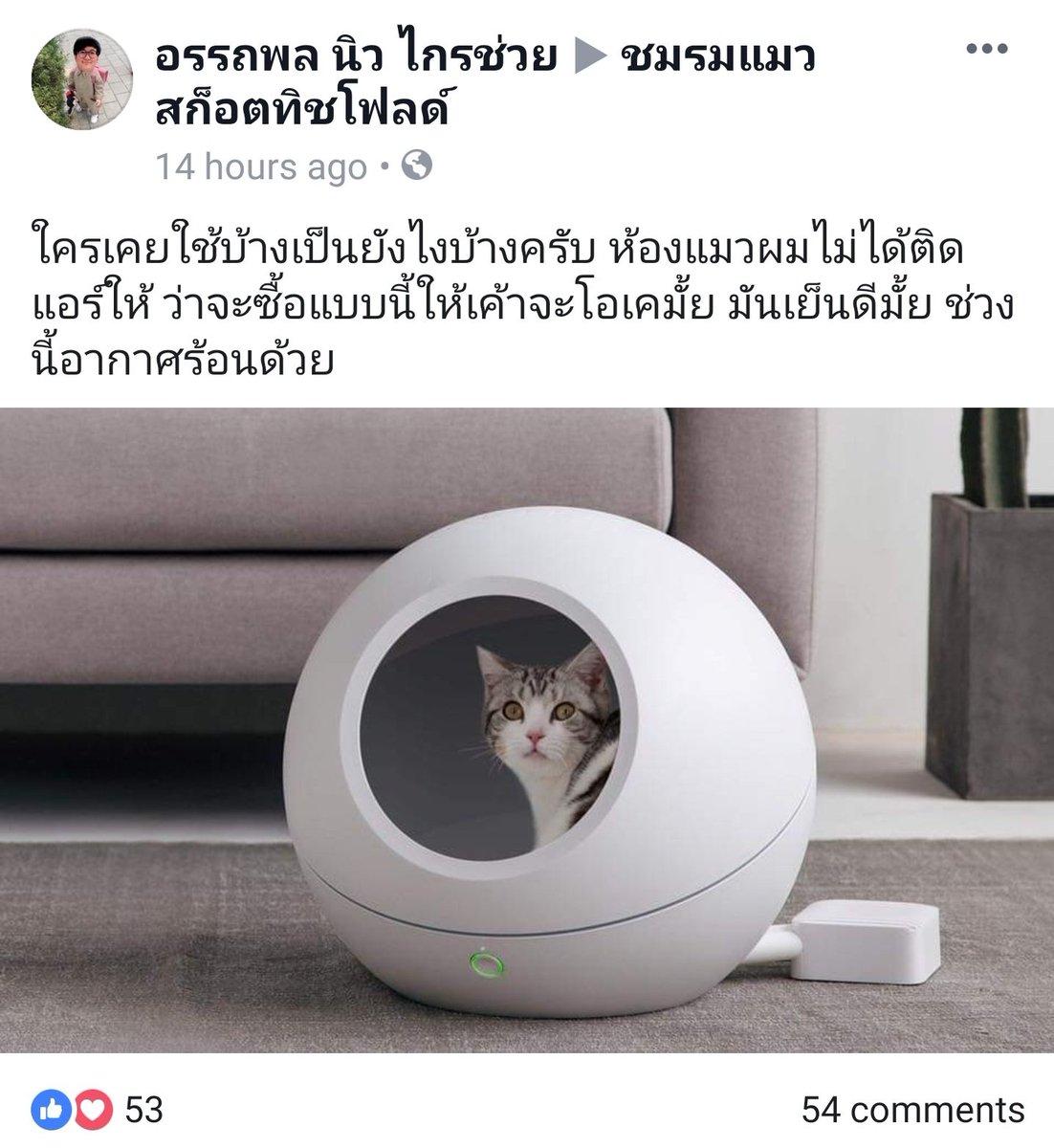 สาคูน้าด *◟➿ tweet media