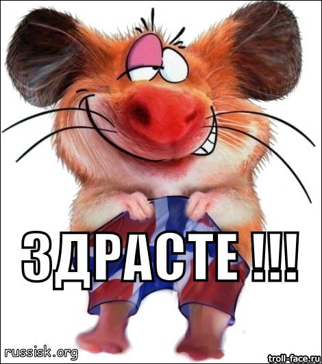 Смешные картинки здрасте это