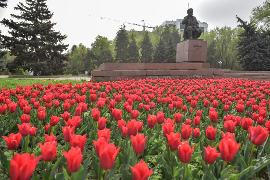 Песня в тихом парке расцвели тюльпаны. Тамбов тюльпаны парк Победы. Филармония тюльпаны Кыргызстан. Феодосия тюльпаны. Клумбы возле памятников.