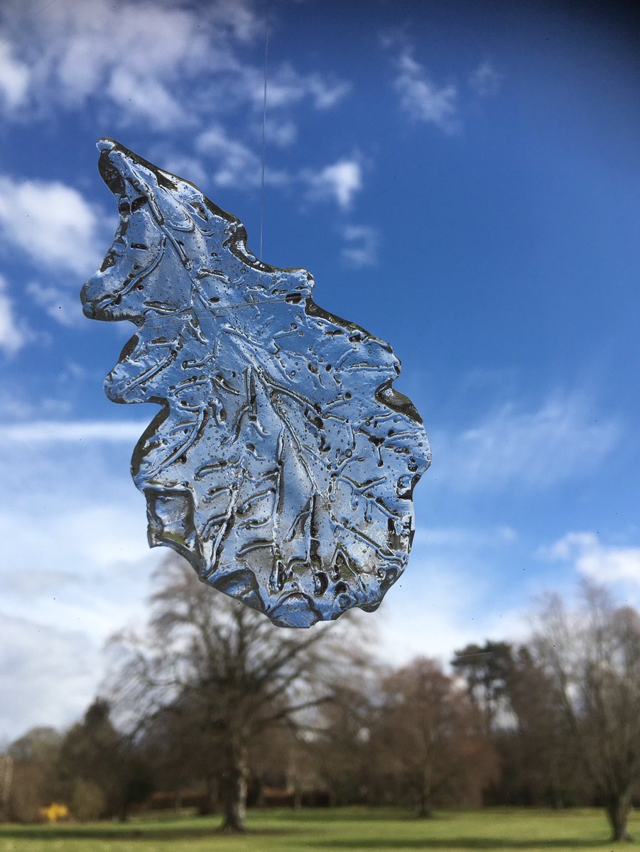 rann_karen's tweet photo. Taking ‘leaf’ of #dignitree lovely closing event @AllendaleEstates  too many to thank, great working with @FineHseFarm &amp; @JSParkerLtd on #artforthebrain #braininjury #participatoryarts #art https://t.co/WRYbNy3APC