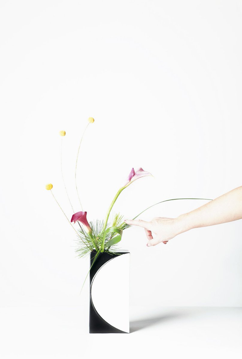‘The Way of Flowers’, my solo exhibition in Tokyo, explores how we perceive beauty, the language of images and our relationship with nature. Open until 12 April. #ikebana #photography #exhibition #perception #environment #TokyoArtBeat #NorwayinJapan #tokyoculture #tokyoart