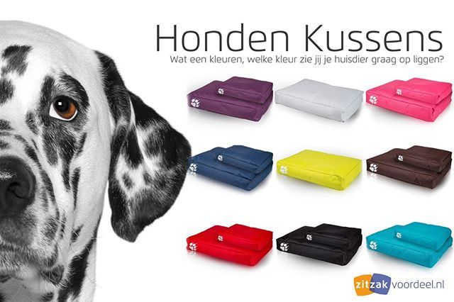 Wat een vrolijke kleuren voor onze trouwe viervoeters.
#paars #grijs #roze #navy #geel #bruin #rood #zwart of #turquoise? Je koopt deze #honden #kussens voordelig online bij zitzakvoordeel.nl bit.ly/2Iay1ve