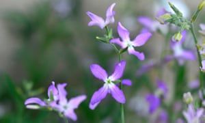 After all your hard work you need to take time to enjoy your garden too... check out this article about it!
buff.ly/2Wkv52R