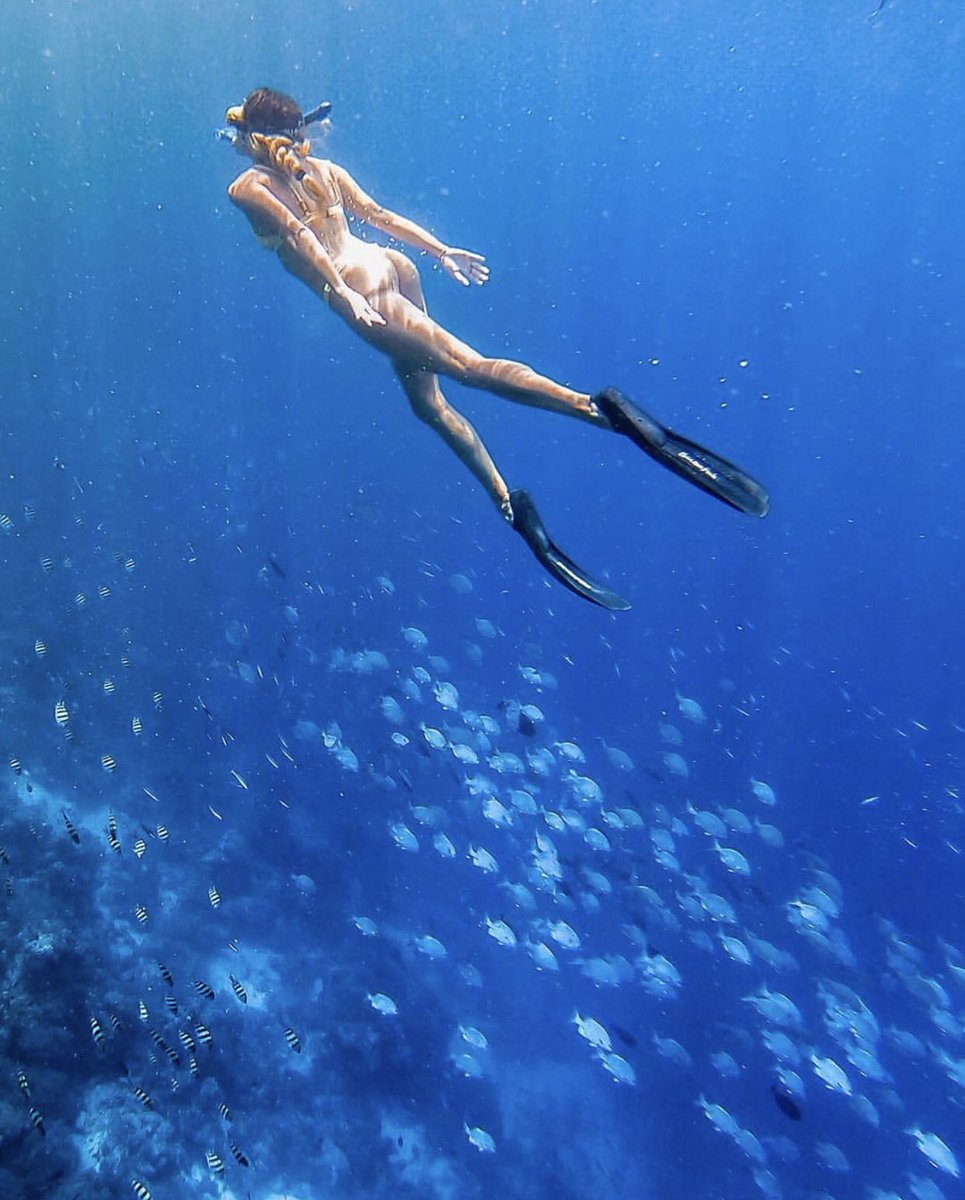 dmAFRICA's tweet photo. @palomafts exploring waters of #Zanzibar 😍
#everythingextraordinary #dmafrica #tanzania #turtles #underwater #underwaterphotography #travel #travelphotography #travellingthroughtheworld #travelgram #summer #summervibes #summertime https://t.co/uHEVCR7FIX