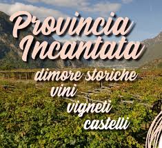 CittaMetroTO's tweet photo. #5aprile Prosegue a #Piverone domenica #7aprile con la 2^ tappa il circuito #ProvinciaIncantata iniziativa di @CittaMetroTO con @turismotorino nell'ambito del #progettoeuropeo #VignetiAlpini
@InterregALCOTRA Info e prenotazioni
info.ivrea@turismotorino.org https://t.co/hFvnMuYbst