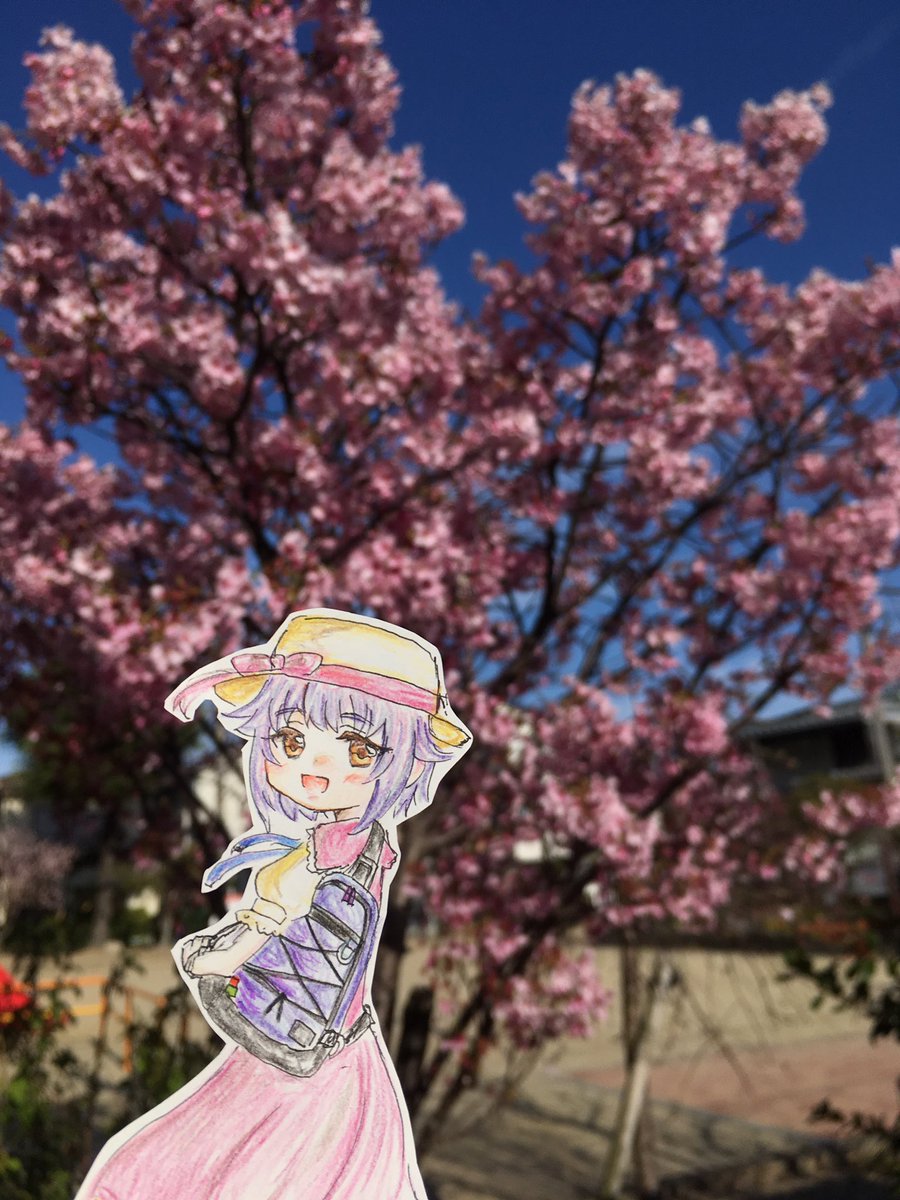 sachurico's tweet photo. 輿水幸子です！
今日は新しい鞄を持ってお散歩です。
桜、綺麗ですねえ…。あ、あっちはハート型になっていてカワイイですね！まぁカワイイボクほどじゃないですけど！

プロデューサーさん！
総選挙にむけて、一緒に全世界にボクの国宝級のカワイさをアピールしましょうね！！

#さくら🌸 #輿水幸子 https://t.co/Pj79Fh14wR