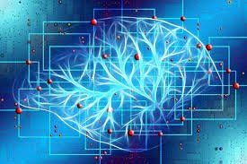 Stemcellmeet's tweet photo. Artificial intelligence uses machine learning that could be helpful in cancer biology, #regenerativemedicine. To know more join us @ https://t.co/6pvuuj4oFH
#CellScience2019 #Paris #Conference https://t.co/lqwqpMNC8Z