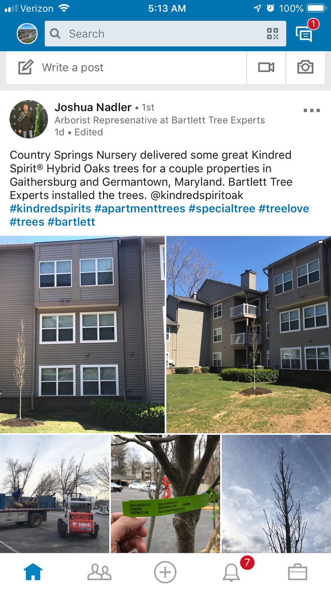 juliafk7's tweet image. #KindredSpirits #CSWN #Bartlett
Trees look awesome!  @CSWNjulia