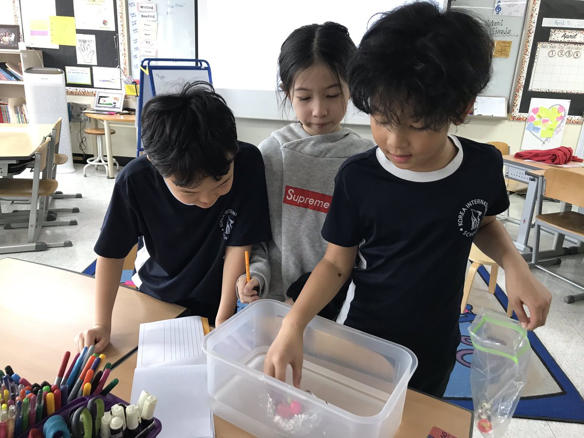 alicedahny's tweet photo. Writing like Scientists! Conducting different experiments Ss had wonderings about in class and recording their findings through lab reports. #kispride #secondgrade #writing #science #labreports #writingworkshop https://t.co/NbMsdsDLCG