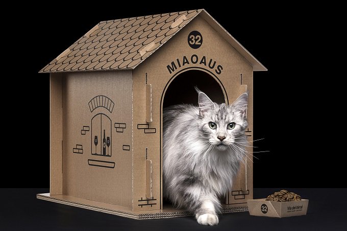 comieco's tweet photo. 📍Arriva Animalaus, la confezione ecosostenibile per birre che si trasforma in casetta di #cartone per cani (Bauaus) e gatti (Miaoaus), grazie alla collaborazione tra Novaidea Creative Resources e il laboratorio artigianale 32 Via dei Birrai.
https://t.co/HZp3M9hdCL https://t.co/EoZHqrjcn2