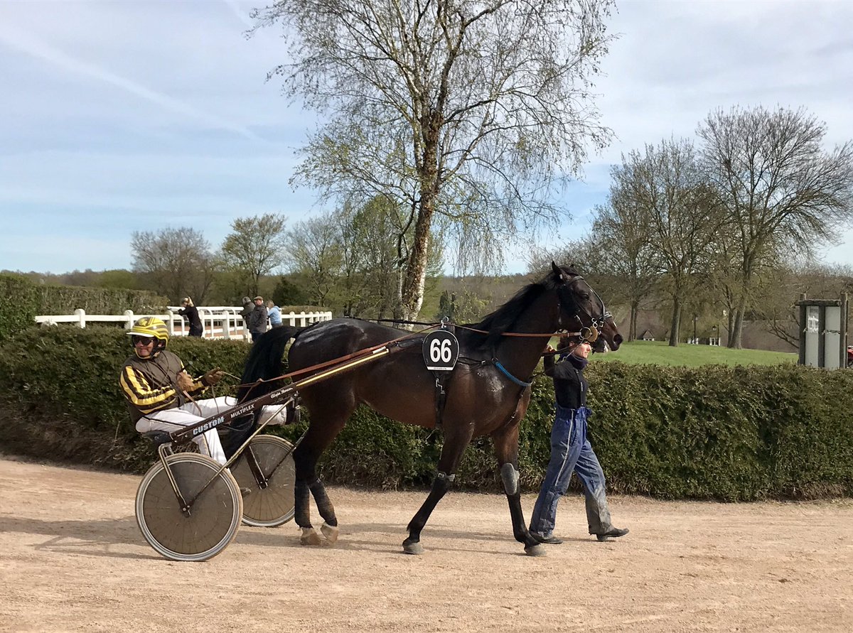 ProvinceCourses's tweet photo. Golo Kanté se qualifie à #Grosbois en 1’19’’9. @OdonnellRoussel : « il pourrait faire 3 tours. Il a beaucoup de fond ». Le fils de Bird Parker passera aux ventes @Osarus_Trot le 25 avril à Argentan. https://t.co/3qnba0uhIv