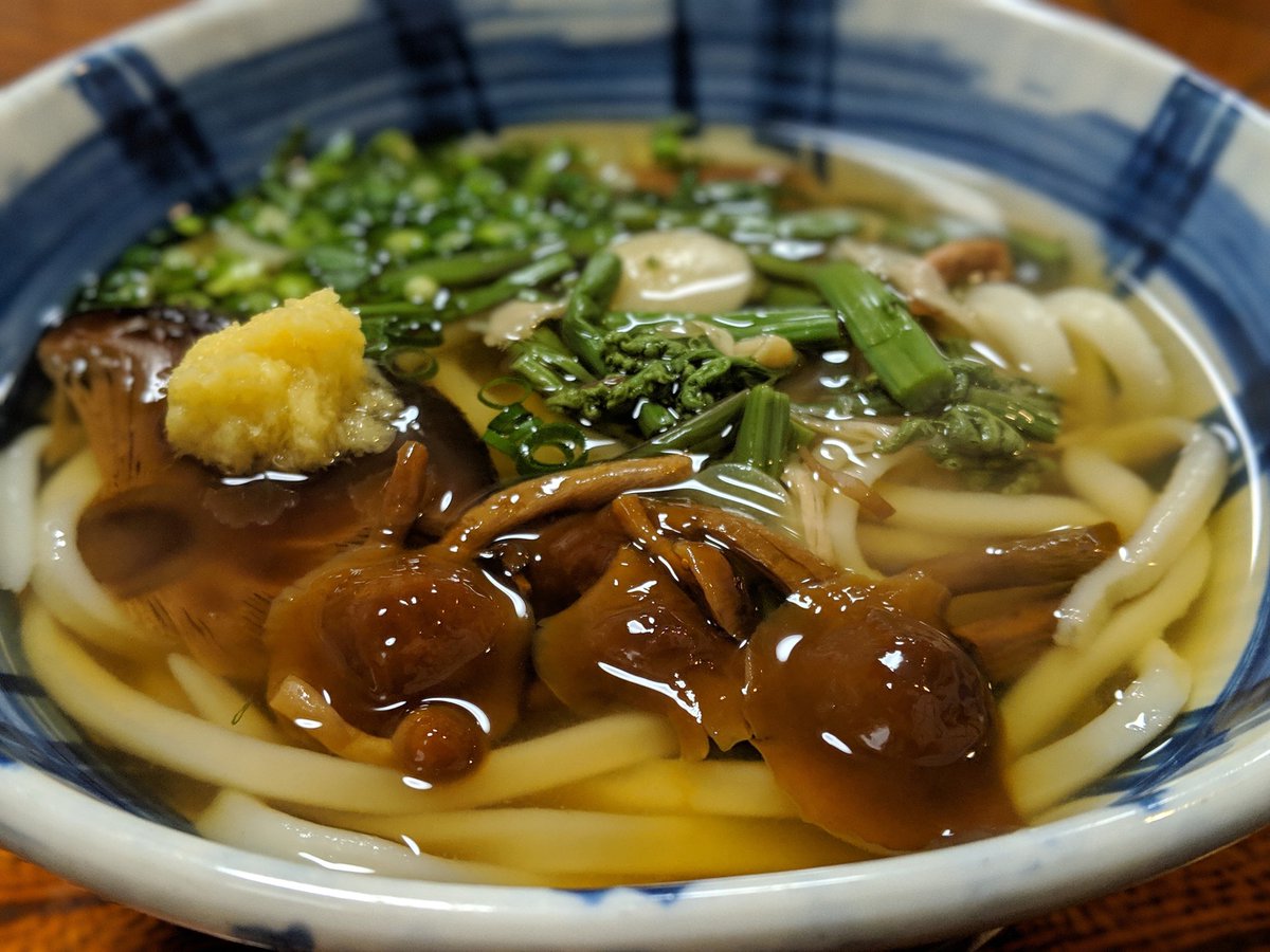 simon_isogai's tweet photo. 高松入り！1杯目のうどんは「うどん棒」へ。夕方ともなるとだいぶ開いてるお店が限られてくるうどん県事情。そんな中、なんとも素朴でウェルカムうどんにふさわしい1杯に出会いました。明日のツアーファイナルに向けて、体と心の栄養♪
#磯貝サイモン
#SLT3
#香川
#高松
#うどん https://t.co/LWGl5Ztdlb