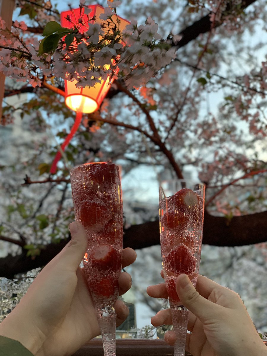 chaen4_23's tweet photo. いちご食べに来たようなもん🐯🍓 https://t.co/lAvC3wtjRw