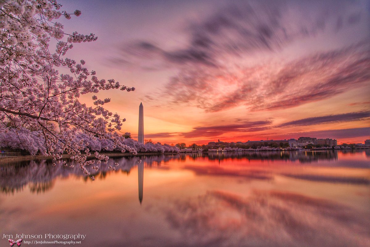 tPFmariah9999's tweet photo. #CherryBlossom Delight 🍒#Sunrise at the Tidal Basin &amp; Washington Monument in DC. @spann @capitalweather #dcblooms #cherryblossoms #sakura #longexposure #dcwx https://t.co/Fw6Vli9lKo