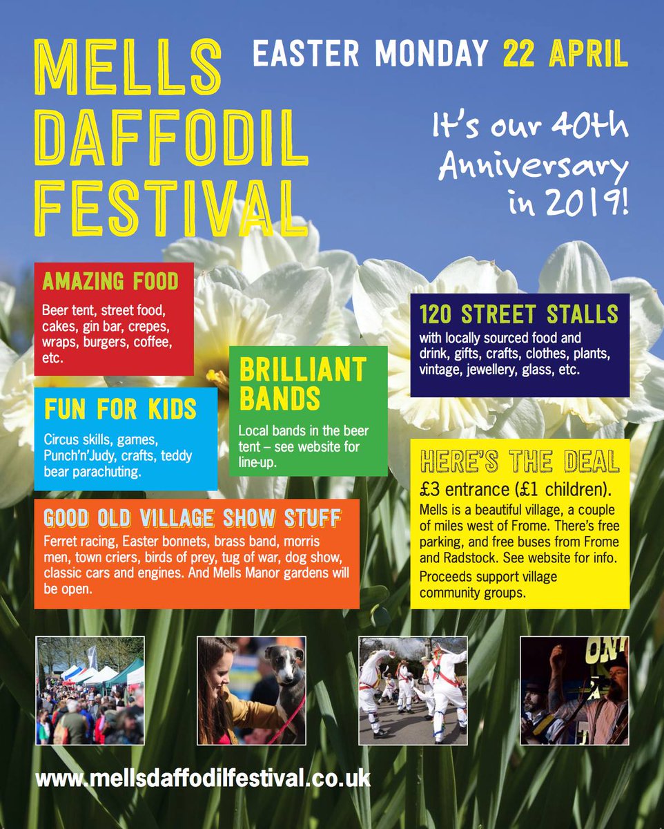 Mells Daffodil Day tweet media