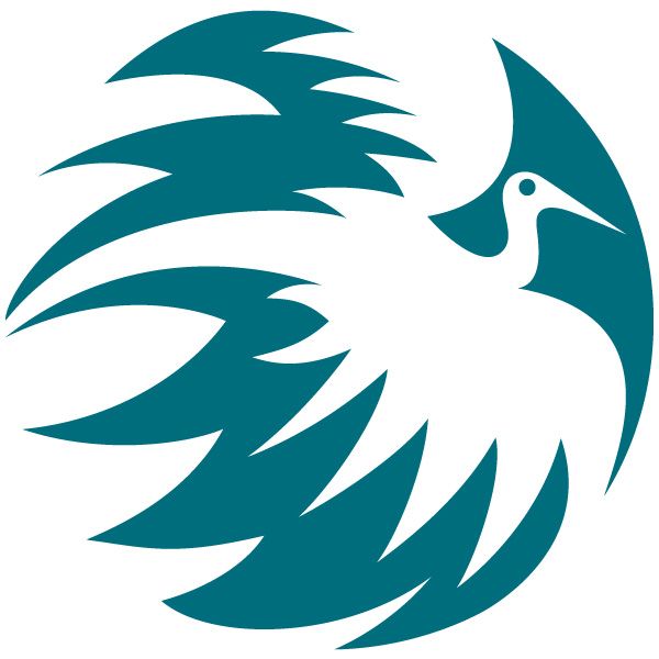 Phoenix Opleidingen tweet media