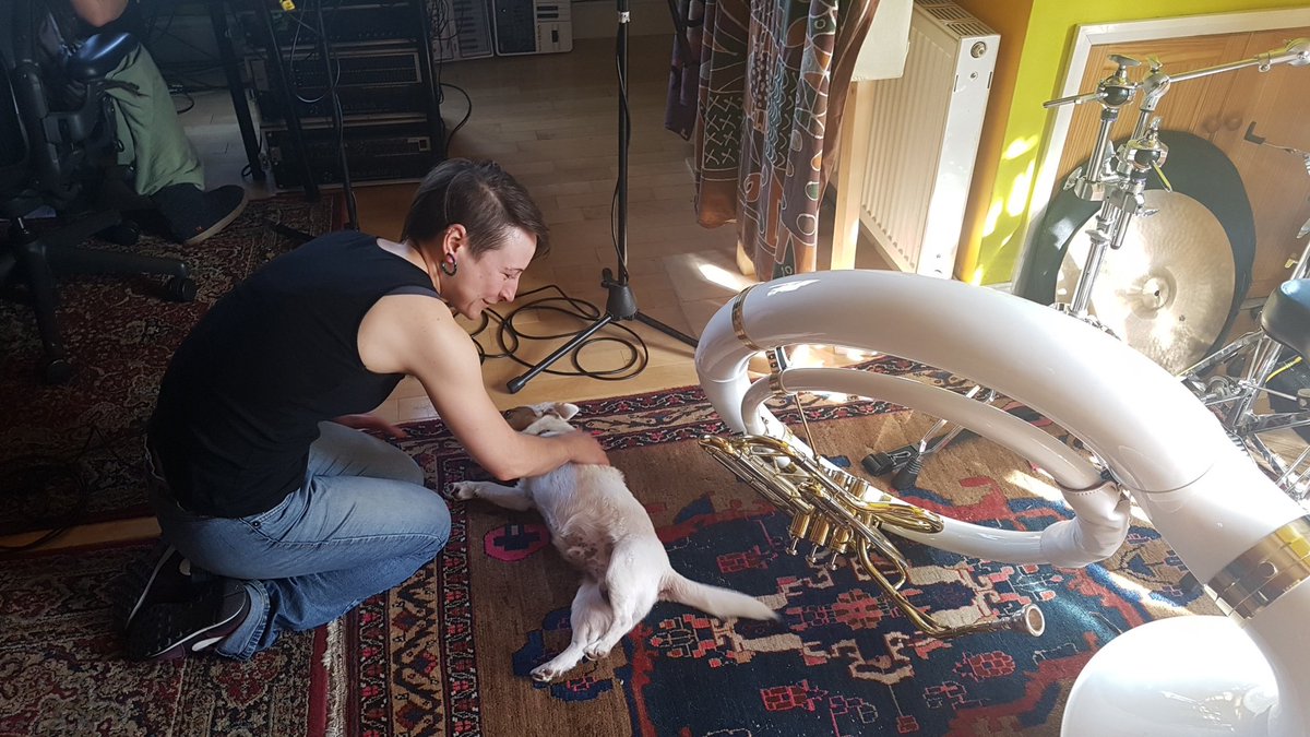 Proper Buzzin' tweet media