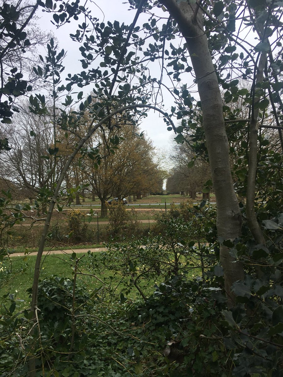 There is some debate online as to Richmond’s true peak. Some think it’s the trig point; others think it’s the higher but possibly man-made King Henry’s Mound. To cover all bases, I’ve visited them both.