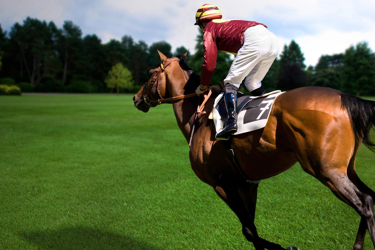 _sportstips's tweet photo. It's the biggest weekend of the year on the horse racing calendar, but who will win the 2019 #GrandNational? Here's a rundown of the main contenders: #GrandNational2019 https://t.co/GcCt8RXKPD https://t.co/GCOVBdpEiP