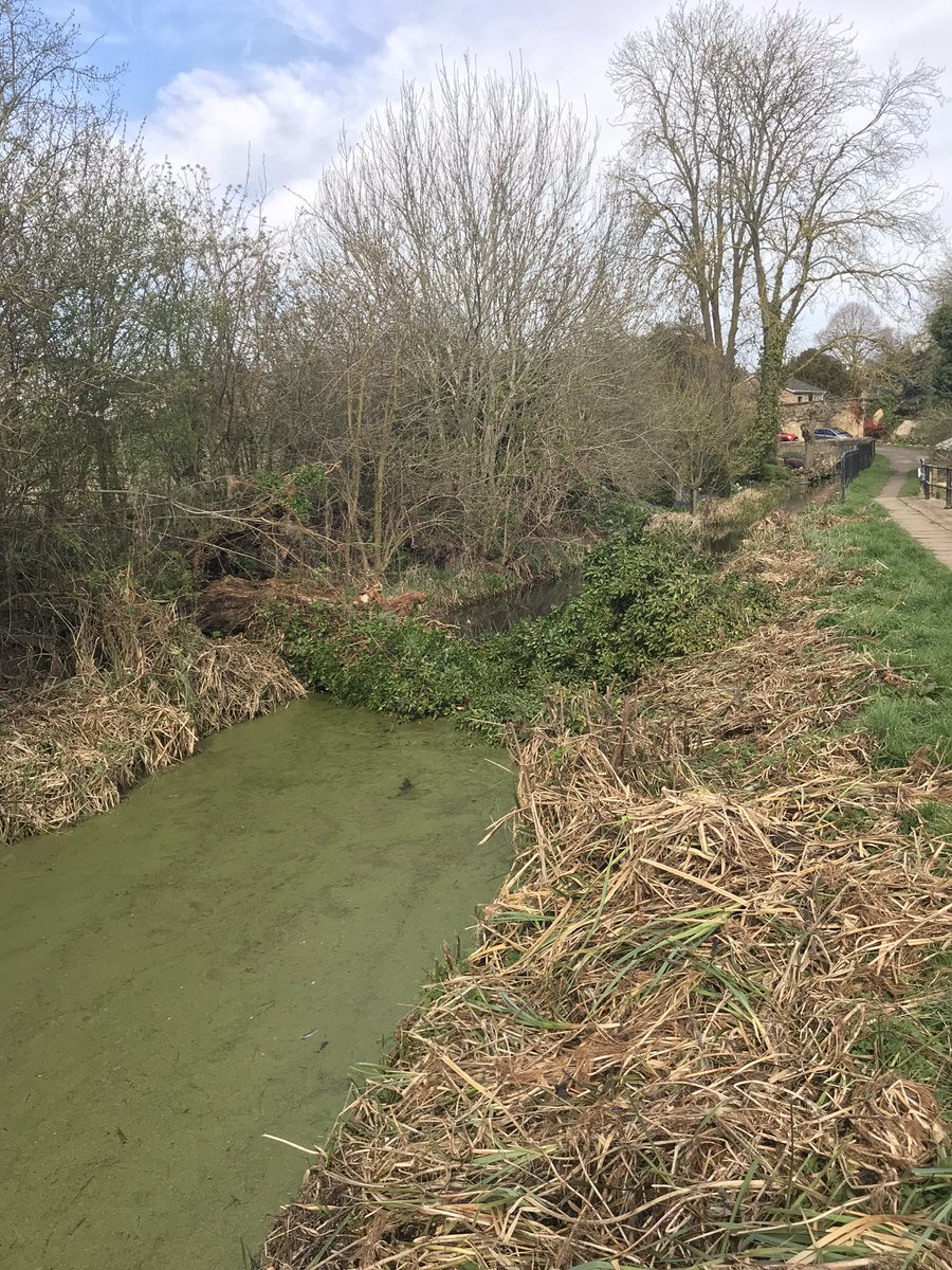 Stamford Millstream (StamfordMillst1) Twitter