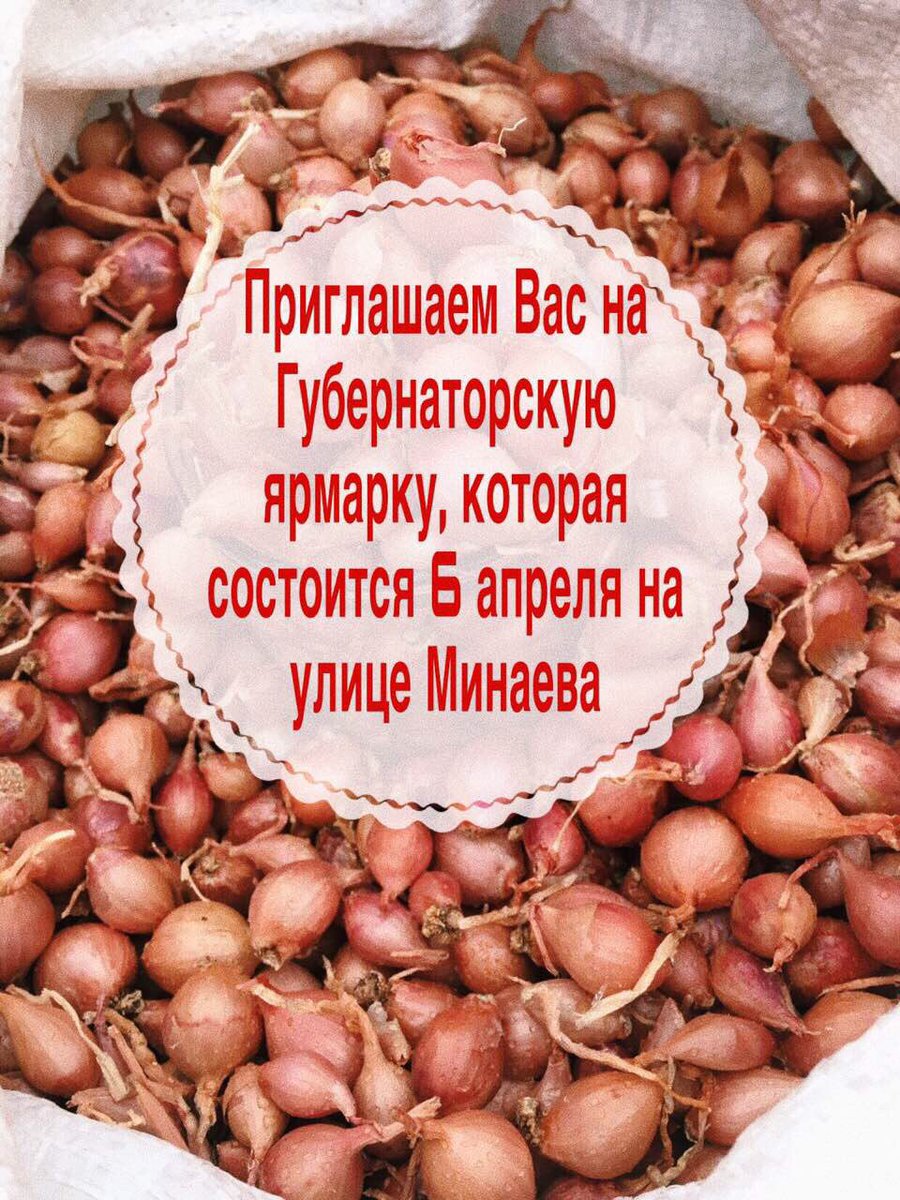 Минсельхоз73 (@mcx_ul) on Twitter photo 